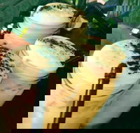 Chillers Cafe - Northern Rivers Accommodation