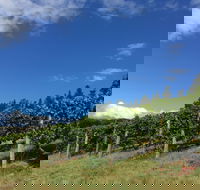 Freycinet Vineyard - Northern Rivers Accommodation