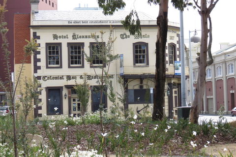 Hope & Anchor Tavern - Northern Rivers Accommodation 0