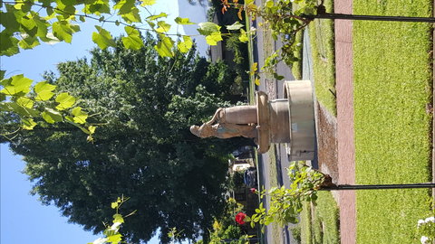 Michelini Wines - Northern Rivers Accommodation 1