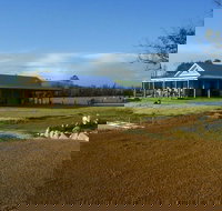 Thomson Brook Wines - Northern Rivers Accommodation