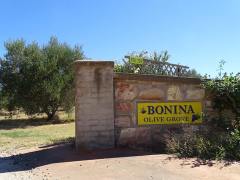 Bonina Olive Grove - Northern Rivers Accommodation 1