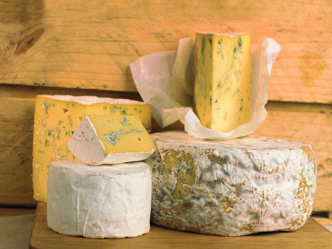 Cheese Shop At Makers' Workshop Burnie - The - Northern Rivers Accommodation 1