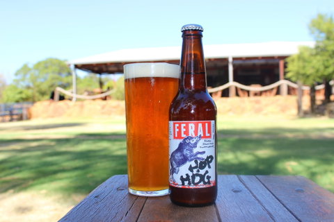 Feral Brewing Company - Northern Rivers Accommodation 1