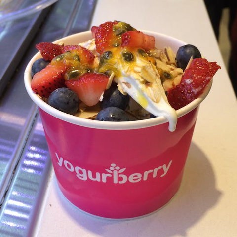Yogurberry - Castle Hill - Northern Rivers Accommodation 0