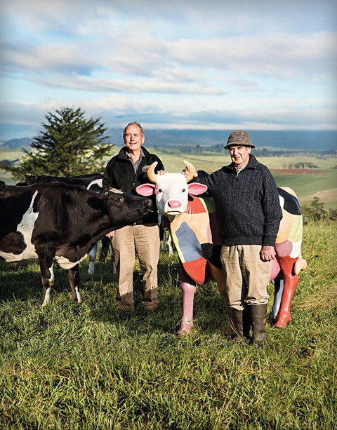 Ashgrove Farm Cheese - Northern Rivers Accommodation 1