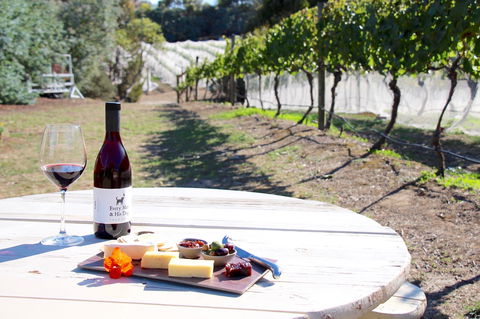 Every Man And His Dog Vineyard - Northern Rivers Accommodation 1