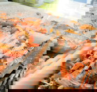 Rufus King Seafoods Amity Point - Northern Rivers Accommodation