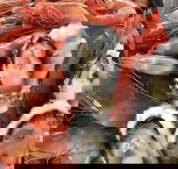 Mi Shells Seafood - Northern Rivers Accommodation