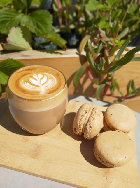 Pandesal Bakery - Northern Rivers Accommodation 1