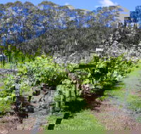 Woongooroo Estate Winery - Northern Rivers Accommodation