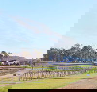 Blacklea Vineyard and Olive Grove - Northern Rivers Accommodation