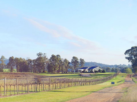 Blacklea Vineyard And Olive Grove - Northern Rivers Accommodation 0