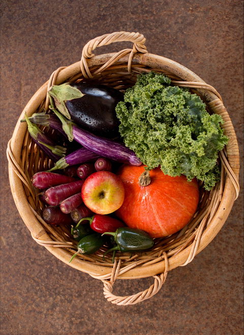 Farm Club: Farm Shop And Canteen - Northern Rivers Accommodation 2