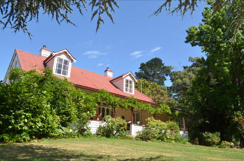 Lazy Teas - Northern Rivers Accommodation 0
