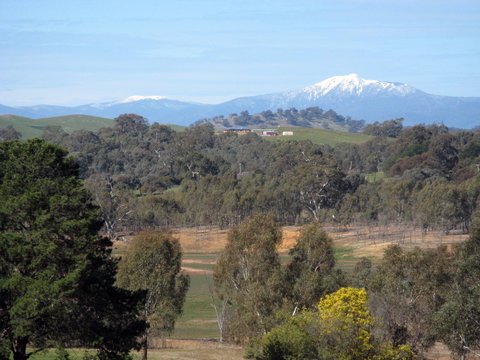 Chocolaterie RenMar - Northern Rivers Accommodation 1