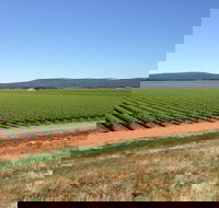 Melange Wines - Northern Rivers Accommodation