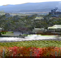 Milton Vineyard - Northern Rivers Accommodation