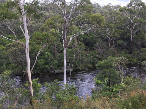 Mongarlowe Gourmet - Northern Rivers Accommodation 2