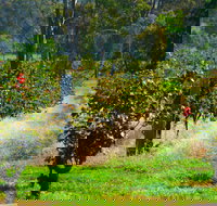 The Red Apron Gourmet Kitchen - Northern Rivers Accommodation