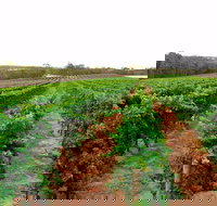 3 Drops - Northern Rivers Accommodation