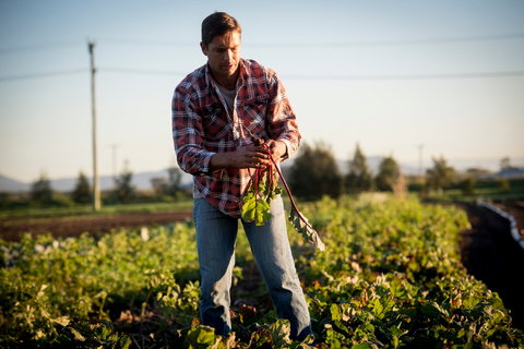 Phoenix Park Farm Gate - Northern Rivers Accommodation 1