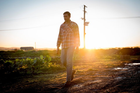 Phoenix Park Farm Gate - Northern Rivers Accommodation 2