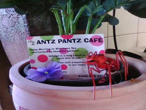 Antz Pantz Cafe - Northern Rivers Accommodation 0