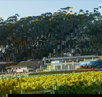 Moores Hill Estate - Northern Rivers Accommodation