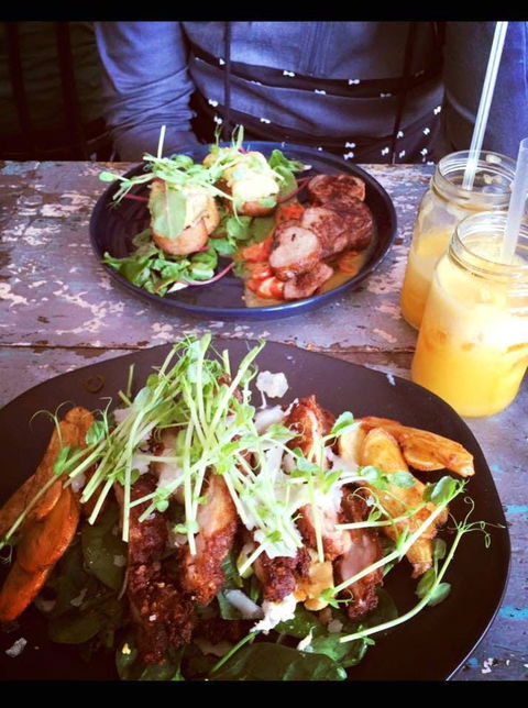 Pav Lovas - Northern Rivers Accommodation 0