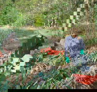 Sweet Water Farm - Northern Rivers Accommodation