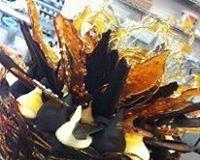 Daily Dose Cafe Wine Bar - Northern Rivers Accommodation 0