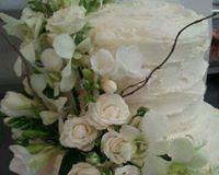 Daily Dose Cafe Wine Bar - Northern Rivers Accommodation 11