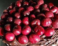 Daily Dose Cafe Wine Bar - Northern Rivers Accommodation 7