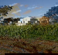 Highbank Vineyards - Northern Rivers Accommodation