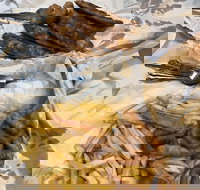 Miami Fish and Chip Shack - Northern Rivers Accommodation