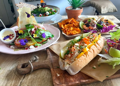 The Tiny Giant - Northern Rivers Accommodation 0