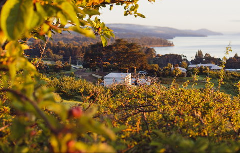 The Woodbridge Smokehouse - Northern Rivers Accommodation 0