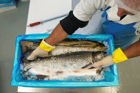 The Woodbridge Smokehouse - Northern Rivers Accommodation 1