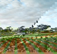 Vasse Felix Winery - Northern Rivers Accommodation