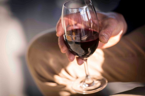 Bangor Vineyard Shed - Northern Rivers Accommodation 2