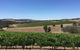 Peerick Vineyard And Winery - thumb 0