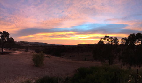 Peerick Vineyard And Winery - Northern Rivers Accommodation 1