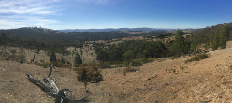 Peerick Vineyard And Winery - Northern Rivers Accommodation 2