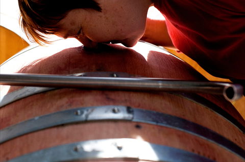 Yarrh Wines - Northern Rivers Accommodation 2