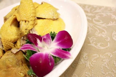 Asian Chef - Northern Rivers Accommodation 0