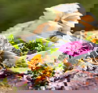 Australian Arid Lands Botanic Garden - Bluebush Cafe - Northern Rivers Accommodation