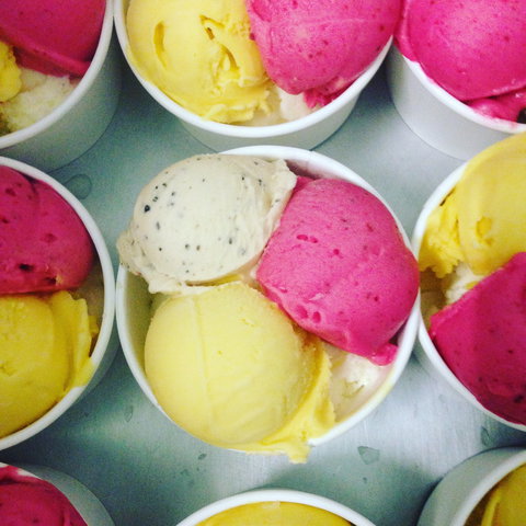 Daintree Ice Cream Company - Northern Rivers Accommodation 2