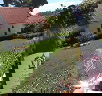 Leaning Church Vineyard - Northern Rivers Accommodation