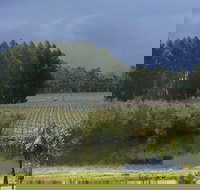 The Alchemist - Northern Rivers Accommodation